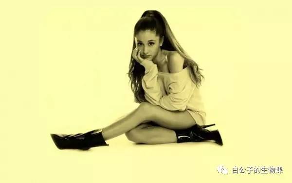 想要一个炒鸡美腻的长马尾吗?这里告诉你怎么做