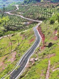 ?岳池全力冲刺一季度“开门红”