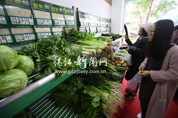 申报绿色食品条件和流程,绿色食品标志申请条件