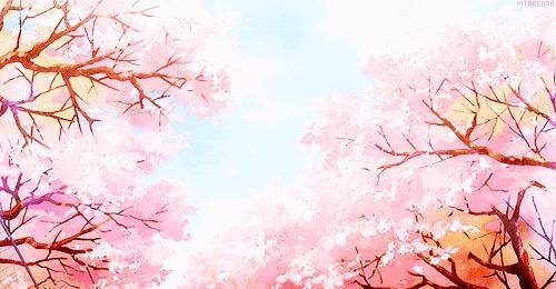 姑娘,我们一起去吃樱花吧!春日24款樱花限定小食已上线!