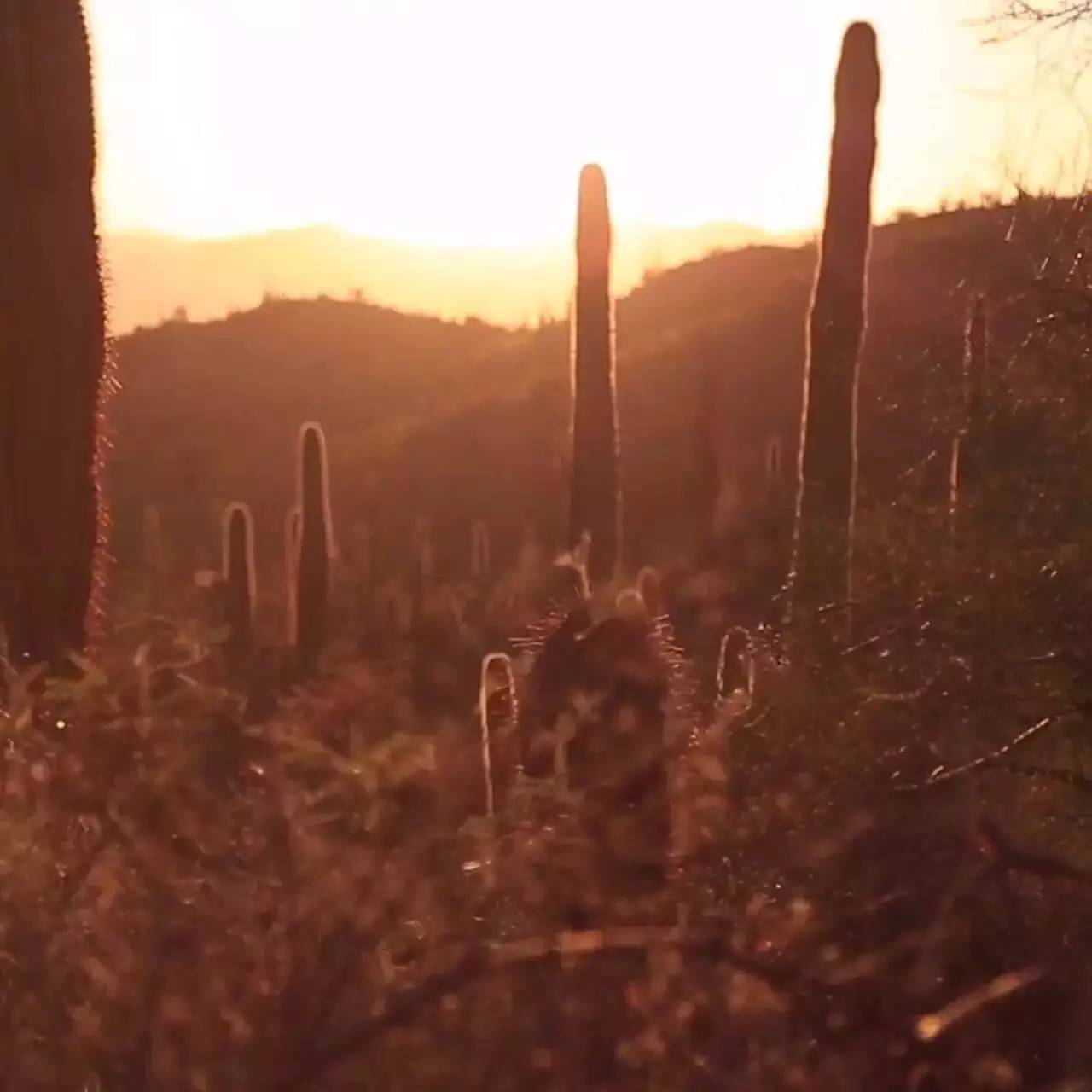 旅行小常识及技巧,旅行必备小心机