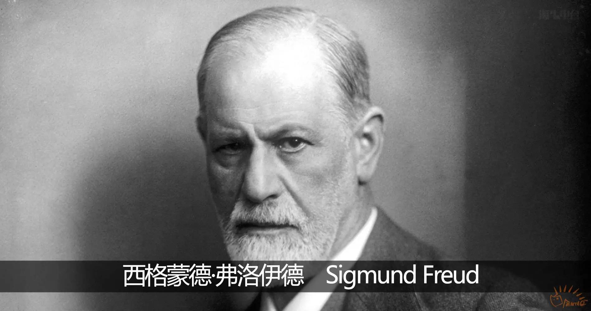 娴风墰鐢靛彴鐭ヤ箮,娴风墰娌绘剤瑙嗛