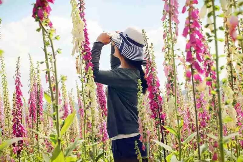 你，为什么离不开石柱！