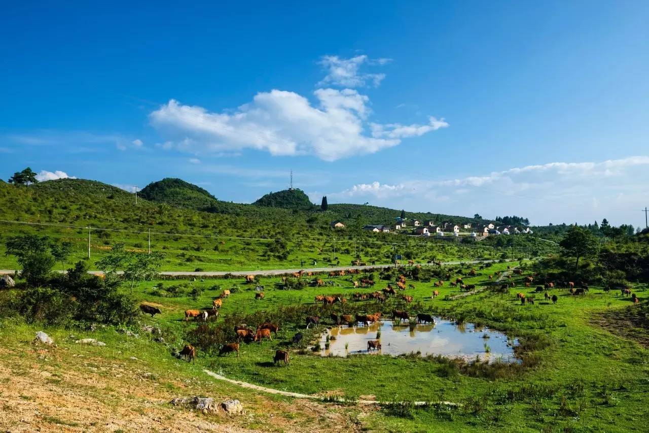 你，为什么离不开石柱！