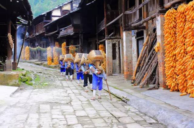 你，为什么离不开石柱！