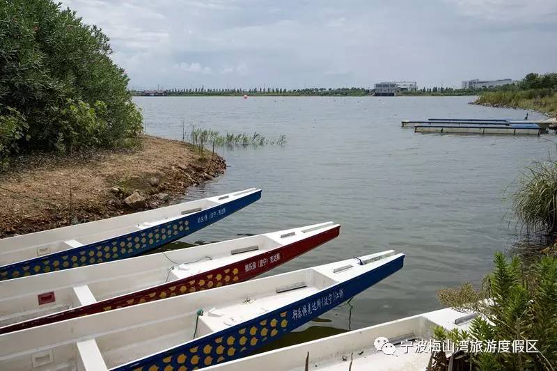 顶级赛车赛事盛况,世界顶级车展最新消息