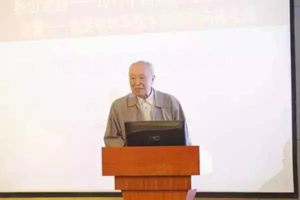 泰山论剑:低速电动车技术路线争议,在于市场需求而非技术难点