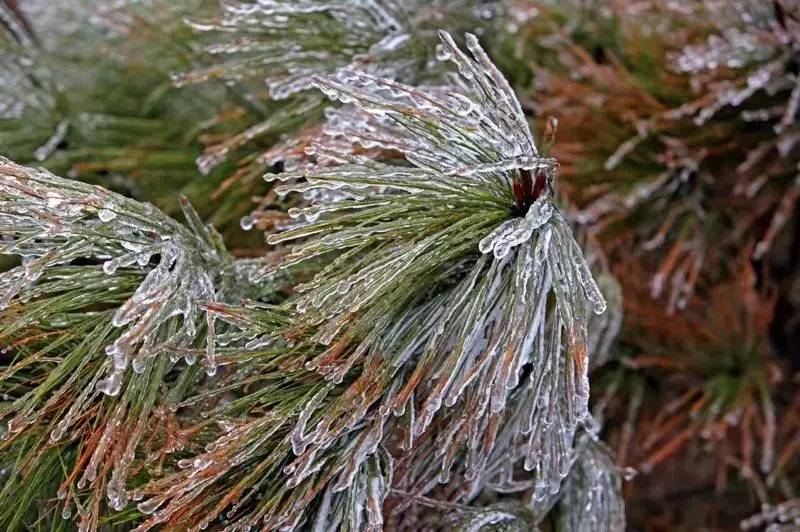 雪竟下得那么认真?居然感动了孟非踏雪来到江西,等不及了快上车