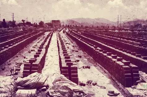 余杭最好吃的草莓,全国精品草莓金奖