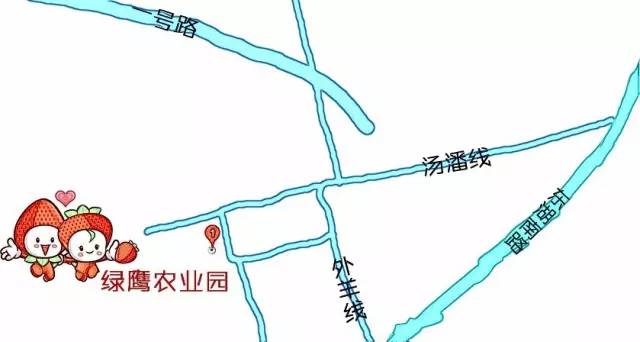 余杭最好吃的草莓,全国精品草莓金奖