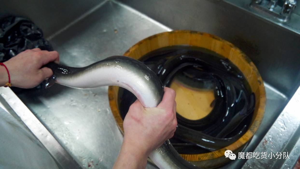 深圳放题式日料生蚝,静安日料