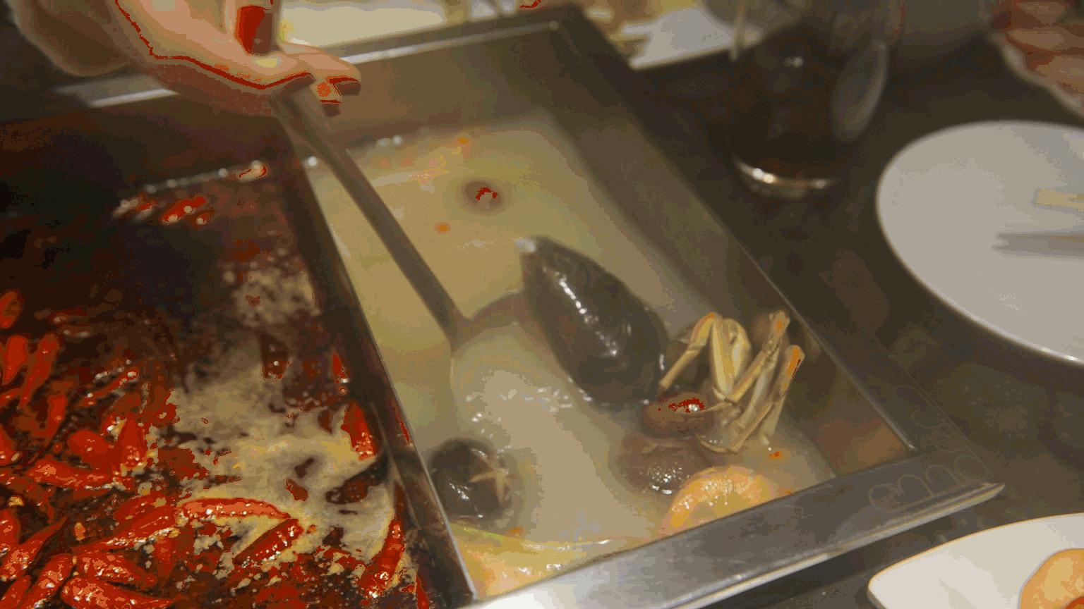 网红豪华坐骑皮皮虾，失踪后再现魔都竟然是在这里，带走它唯一的方法就是……