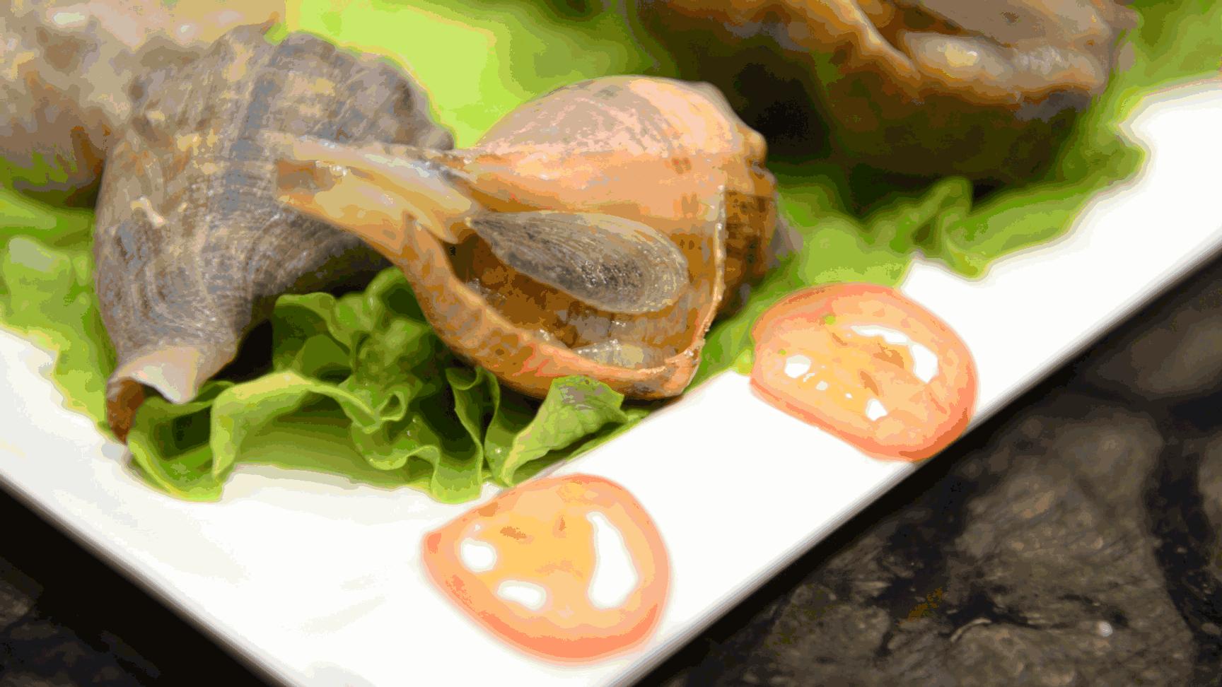 网红豪华坐骑皮皮虾，失踪后再现魔都竟然是在这里，带走它唯一的方法就是……