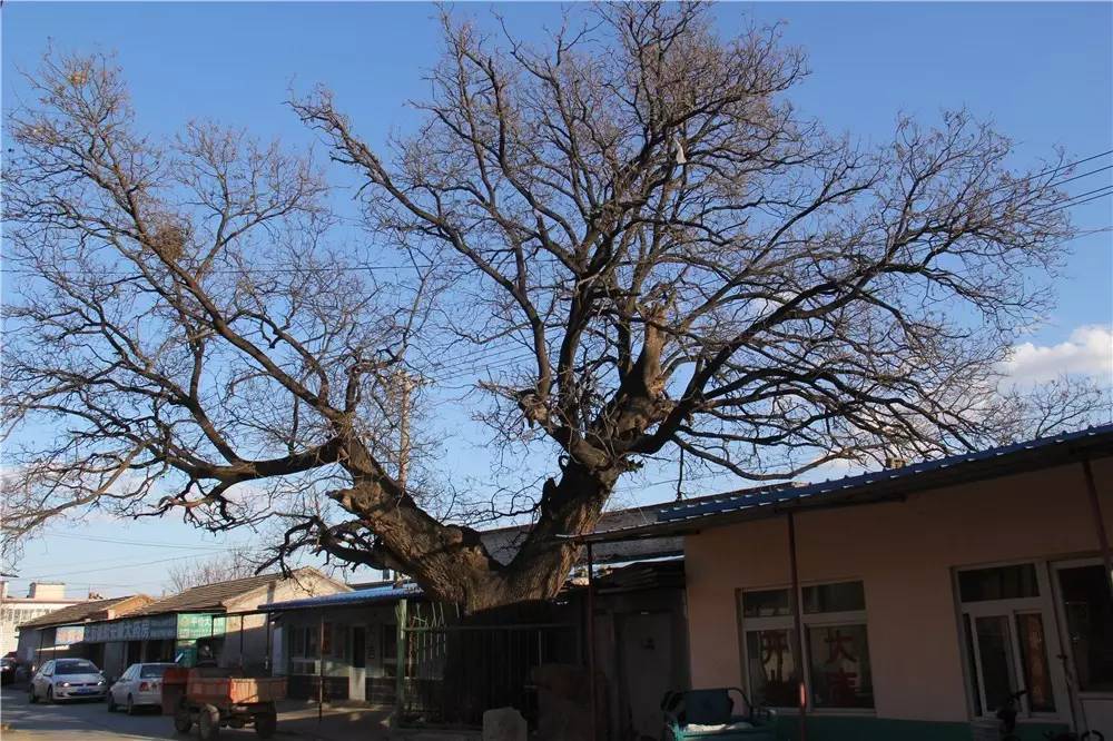 昌平南邵名字的由来,昌平南邵镇简介