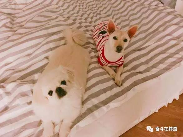 姐妹们你们买过多少羊毛大衣,姐妹们你们买过什么化妆品