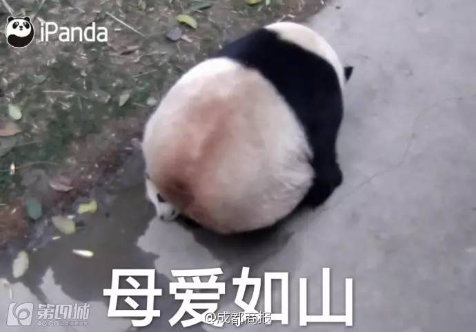 冲壳子丨自从买了这件衣服,去哪吃饭都不要钱!你值得拥有!