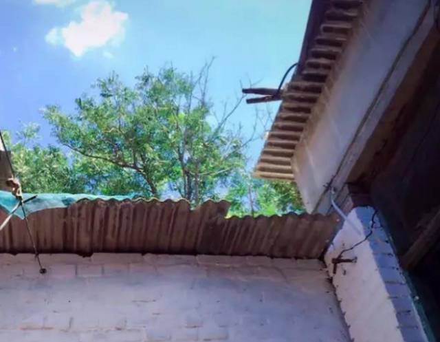 外国小鲜肉只花400元竟然租到了北京二环的房子，然而刚拿到房子的瞬间却差点哭了出来