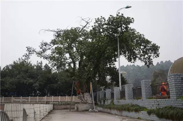 龙泉驿是什么意思,真正的龙泉驿