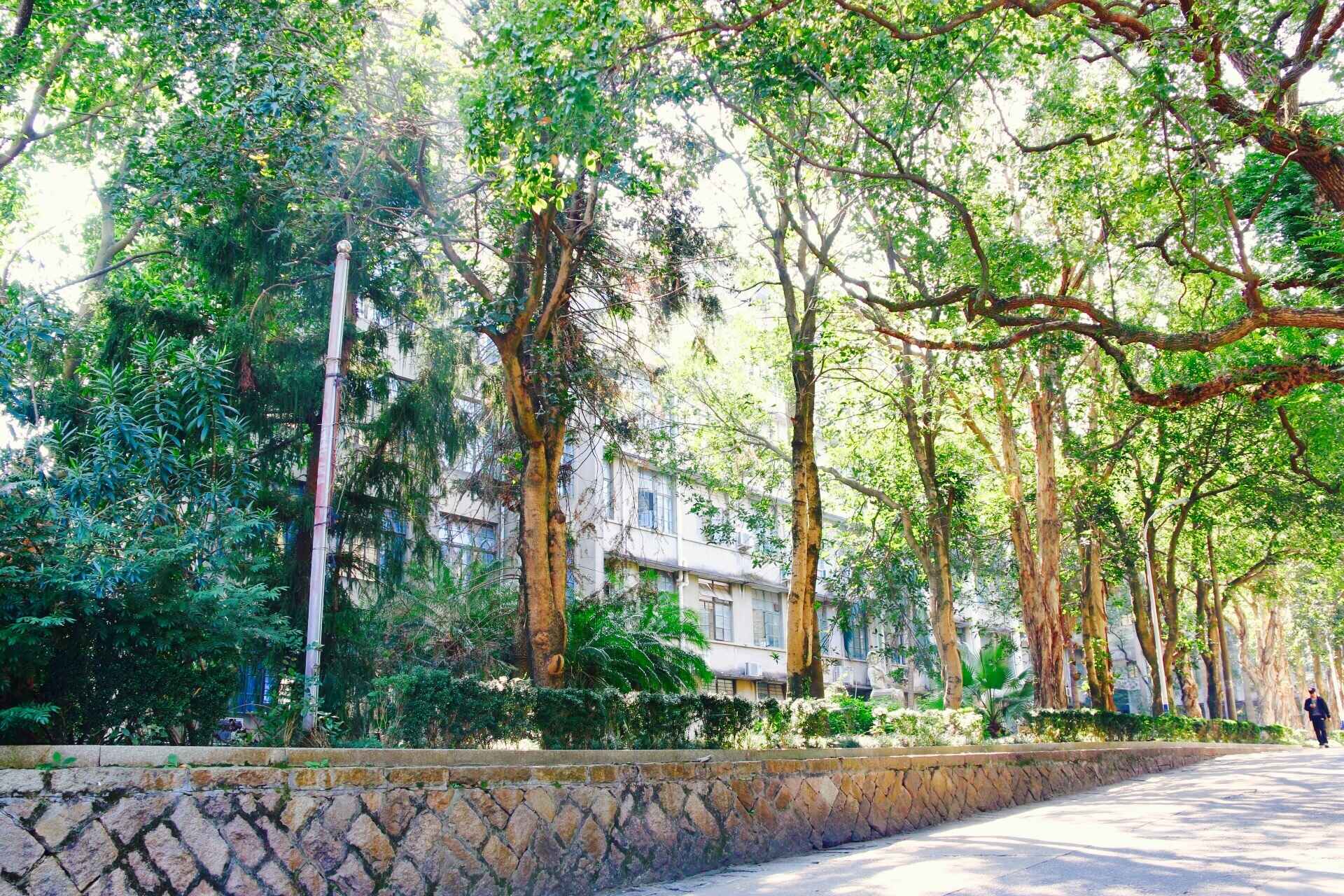 福师大版诗词大会｜长安辞赋星雨谣，仓旗才俊巧成章