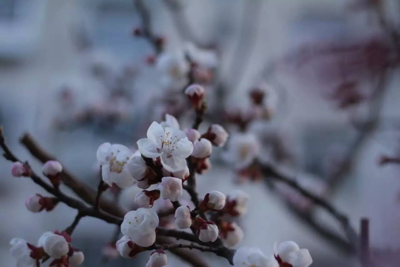 福师大版诗词大会｜长安辞赋星雨谣，仓旗才俊巧成章