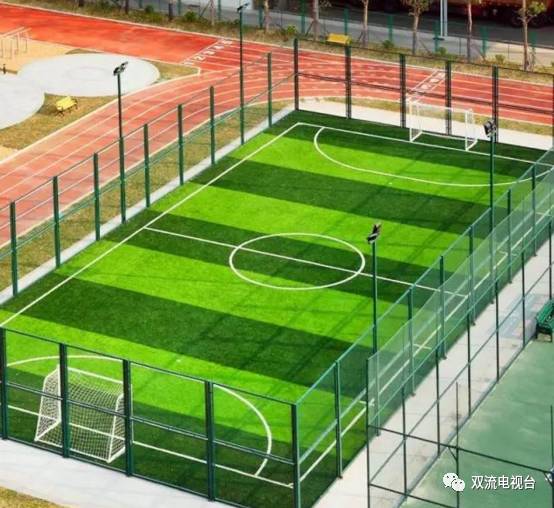 双流东升免费足球场,双流区免费足球场