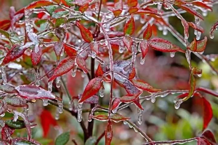 雪竟下得那么认真？居然感动了孟非踏雪来到江西，等不及了快上车