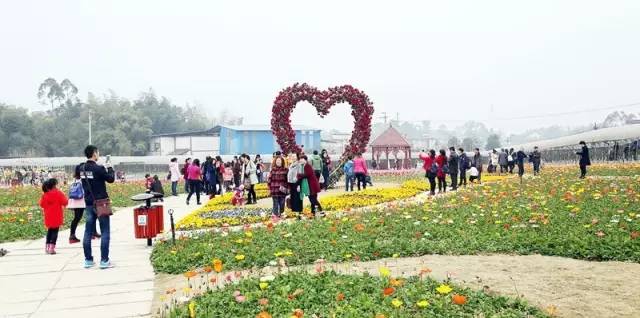 怡园花田官网,怡园花田特惠票