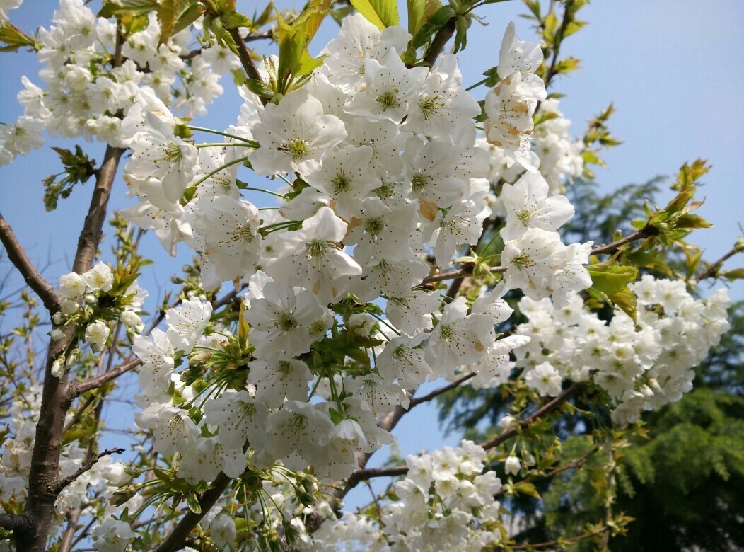 春暖花开踏青正当时完整版,春暖花开踏青季攻略