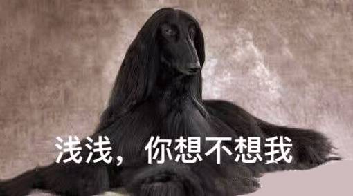 你确定你的《三生三世十里桃花》没白看？！