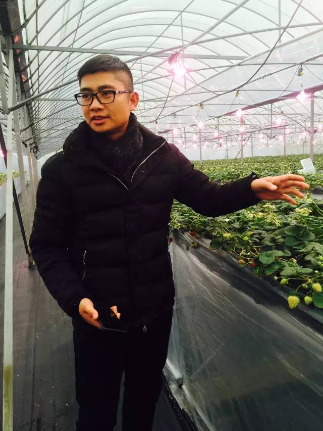 余杭最好吃的草莓,全国精品草莓金奖