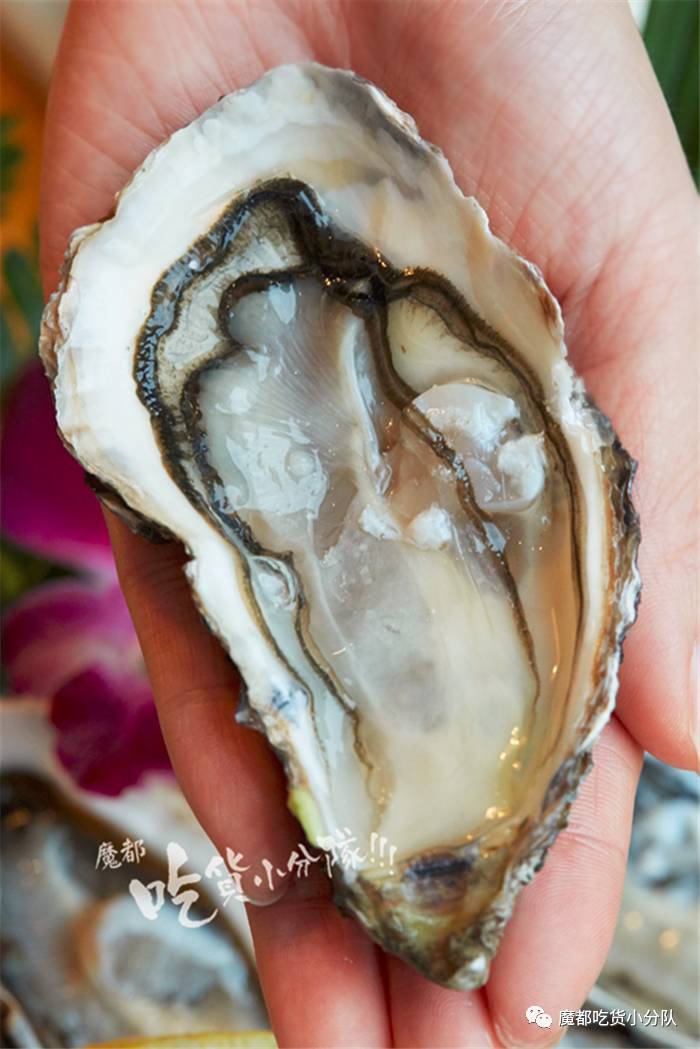 深圳放题式日料生蚝,静安日料