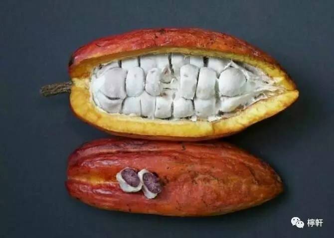 邓丽君浓情蜜意,浓情蜜意对仗句