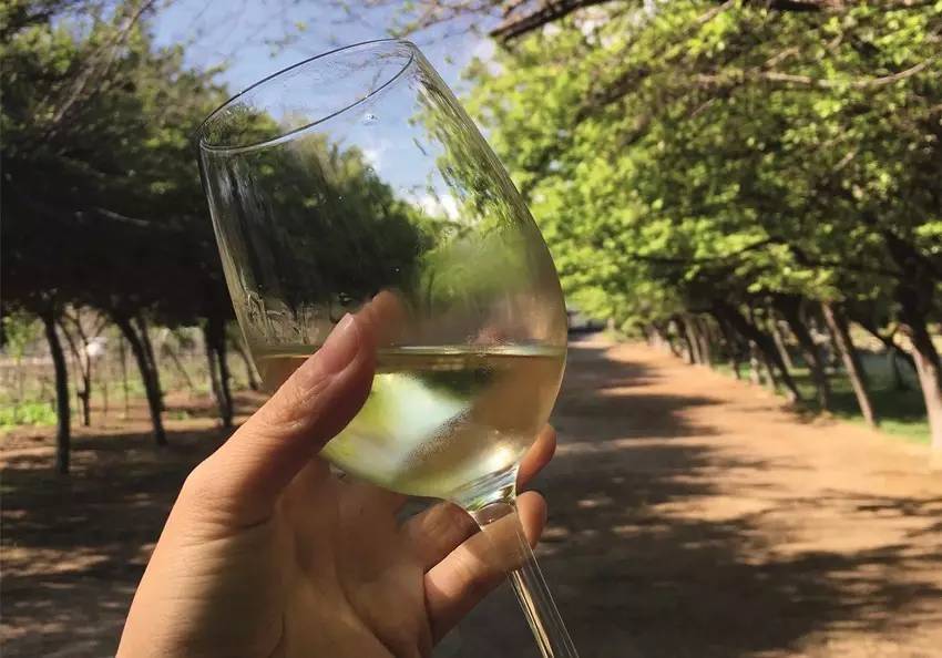 圣地亚哥不容错过的景色,圣地亚哥libertador