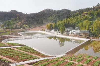 ?岳池全力冲刺一季度“开门红”