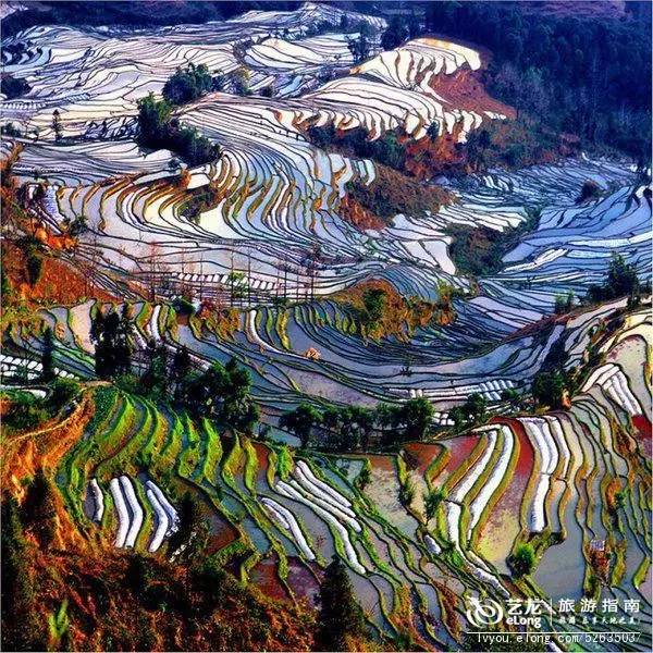 旅游景点拍照超美,十大最美旅行照