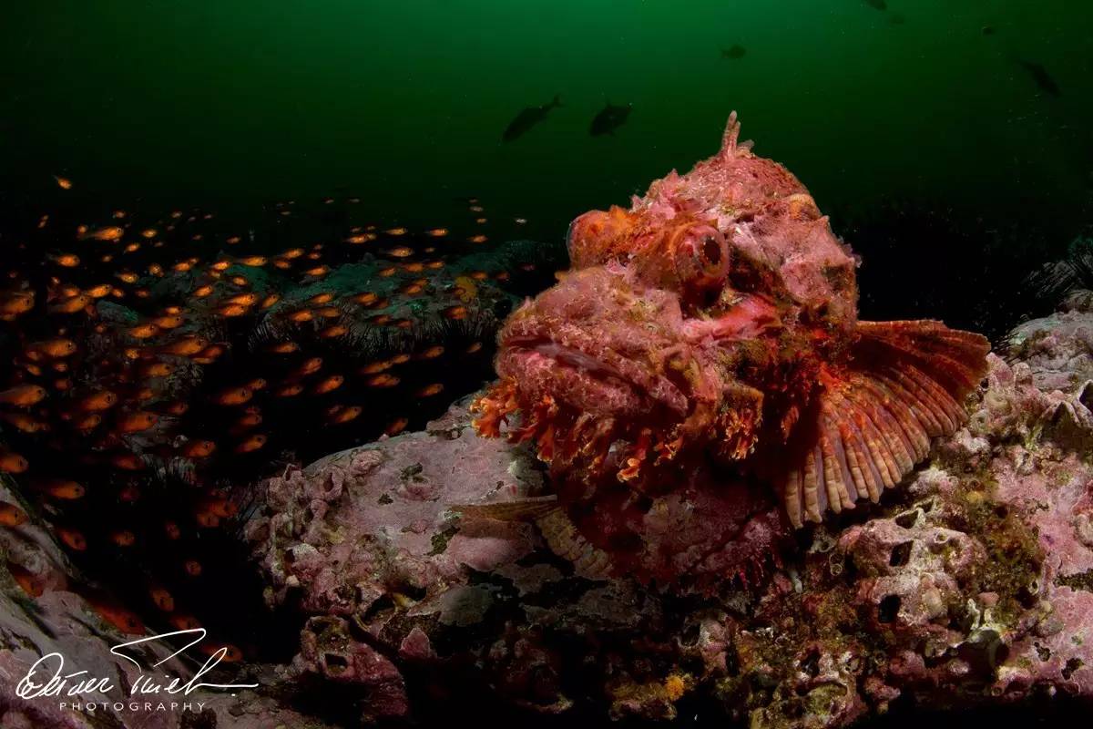 自由摄影师怎么挣钱,摄影师这行真的不挣钱吗