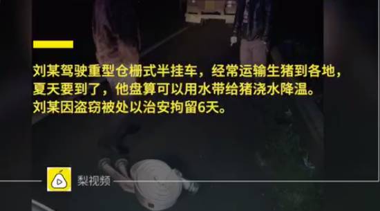 吸毒送外卖，断腿还裸贷……知乎1人分饰244角答题被封