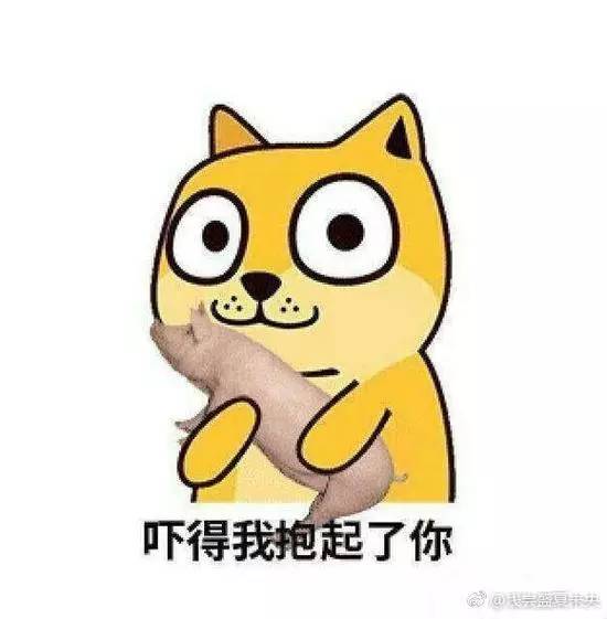 吸毒送外卖，断腿还裸贷……知乎1人分饰244角答题被封