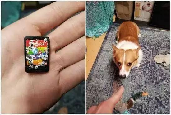 任天堂的粉丝干了件脑洞大开的事,这全都是Switch惹的祸!