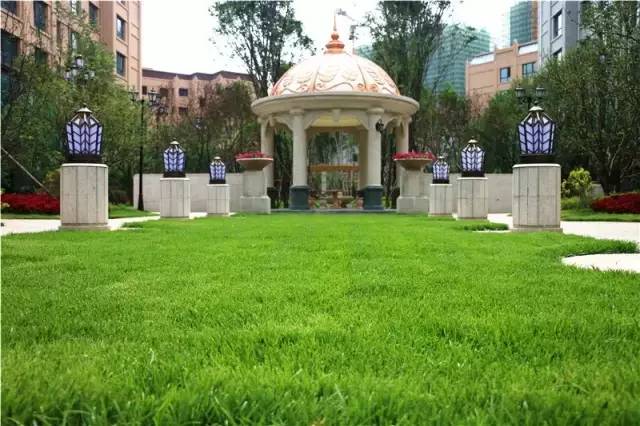 高性价比好房地铁口3室首付28万,首付29万二室一厅二卫房源