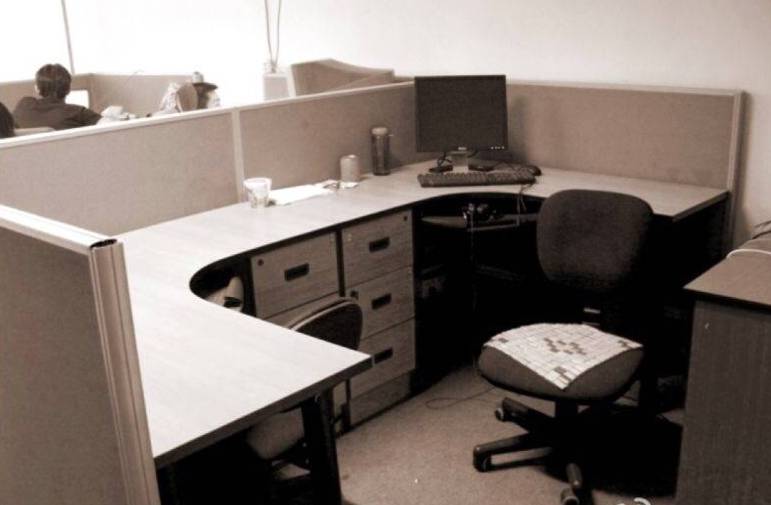 这个假老板要把公司搬到西海边，盖个全球最大的设计公司，陪员工逗鸟逗猫逗狗……