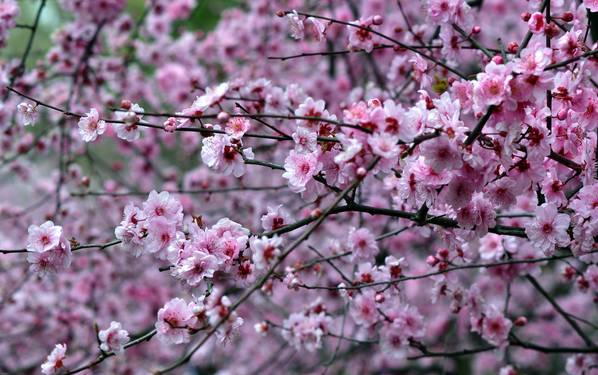 春暖花开踏青正当时完整版,春暖花开踏青季攻略