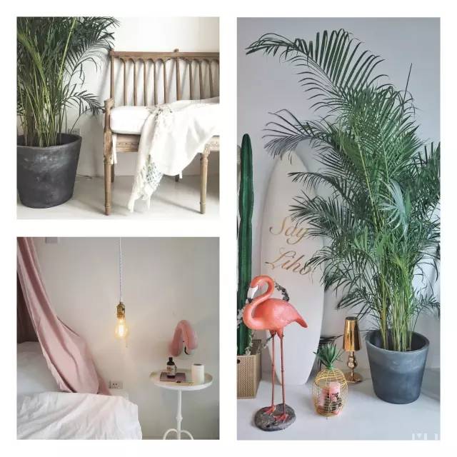 一定要带别人女朋友去的5大民宿,适合跟女朋友去的民宿