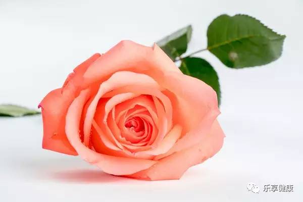 第二次约会送女生什么礼物好,约会女生给我送礼物