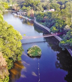 深圳国际湿地城市,深圳城市湿地