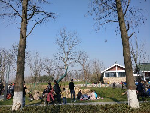 华为p10处理器麒麟960升级鸿蒙,华为p10搭载了海思麒麟960处理器