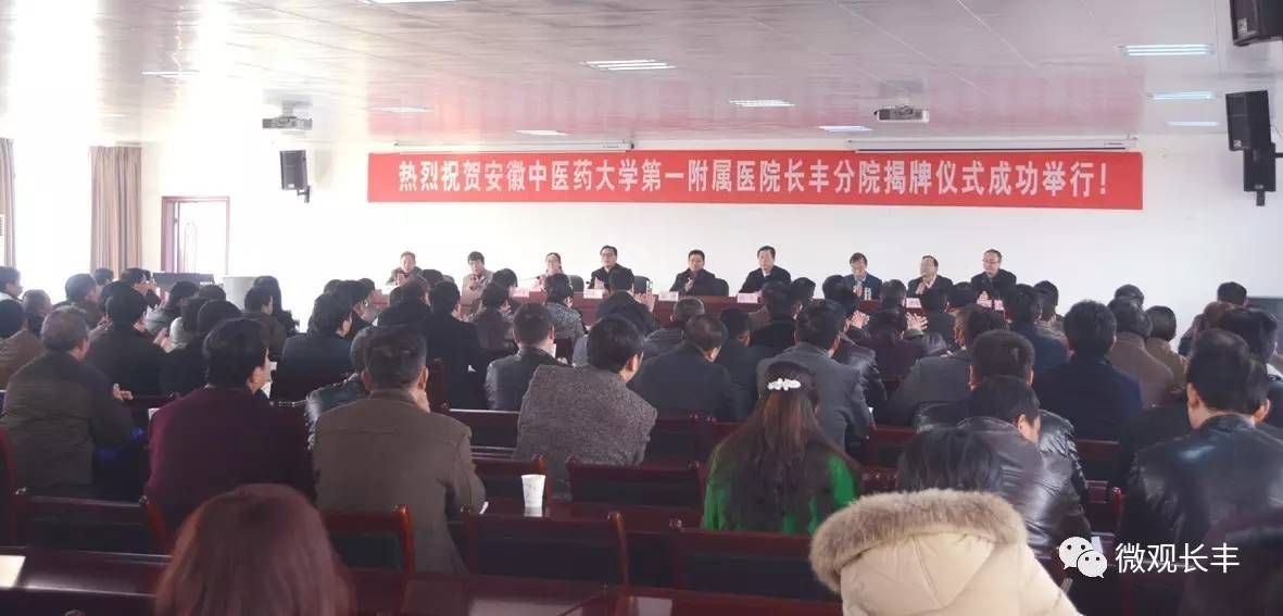 市中医院揭牌仪式,紧密型县域医共体揭牌仪式