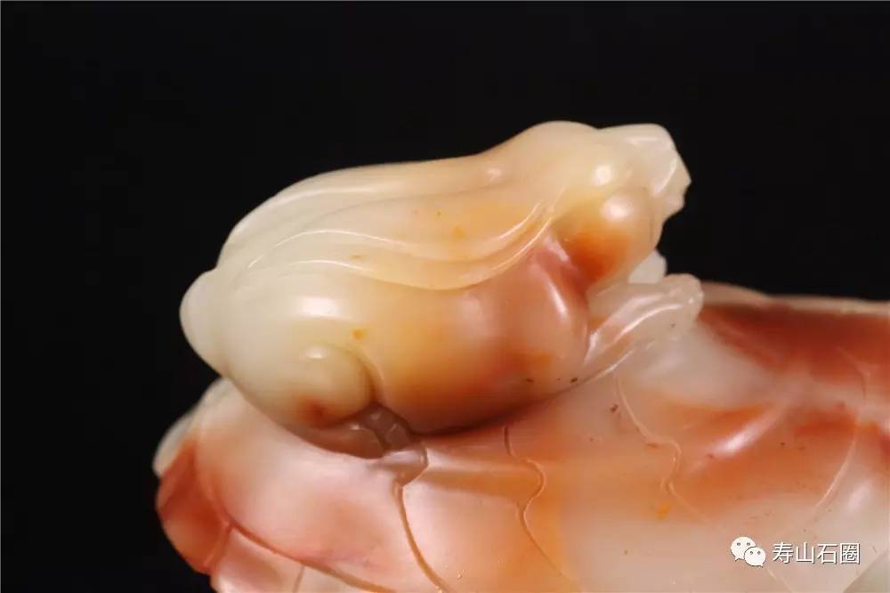 「20170308期」保真微拍预展，22件拍品起拍价就是底价！不甩无底价、不议价！超实在的微拍看这里！