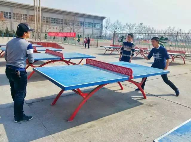 三生三世枕上书结局,三生三世小说原著结局