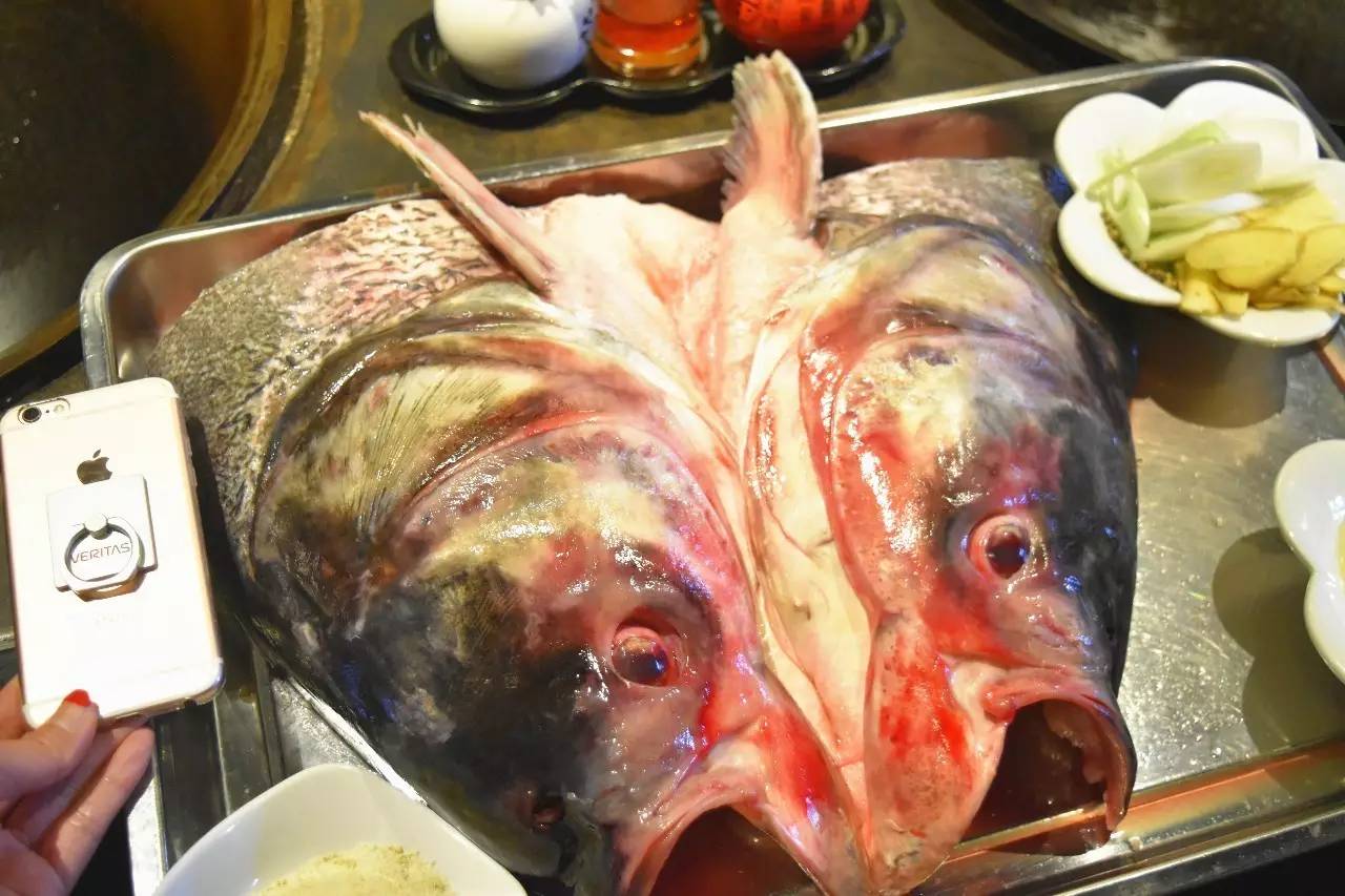 带一个名字里有字母Y的朋友来这家店就送钱！